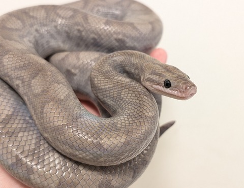 PXL_20250919_072324929~2