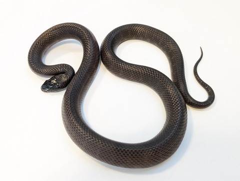 PXL_20250716_082825351~2