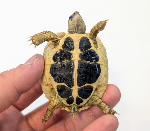 PXL_20251105_055223733~2