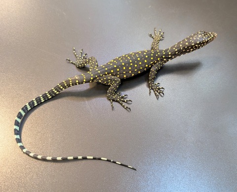 PXL_20250130_084445149~2