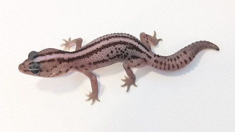 PXL_20250919_115436790~2