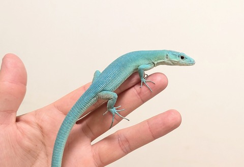 PXL_20251208_120528291~2