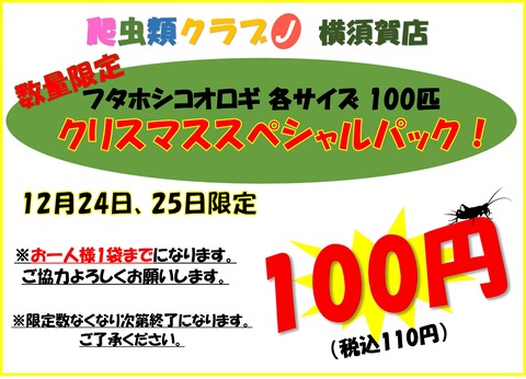 クリスマスコオロギ100円POP