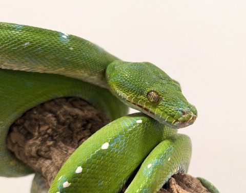 PXL_20251113_095454200~2