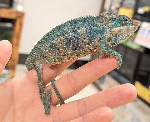 PXL_20250504_112303629~2