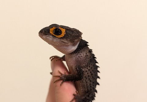 PXL_20251122_061413041~2