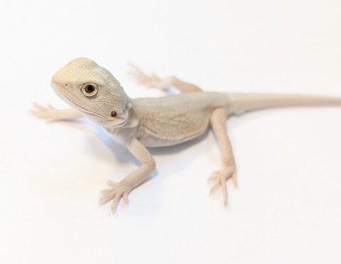 PXL_20250504_110559961~2