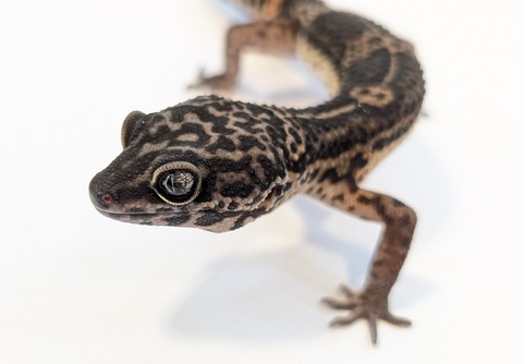 PXL_20250715_100726825~2