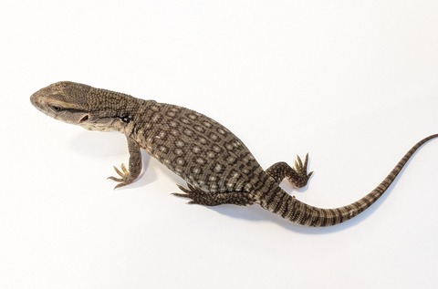 PXL_20250622_114115272~2