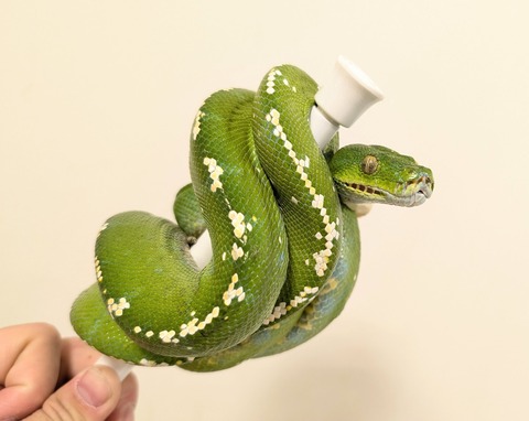 PXL_20260101_110618441~2