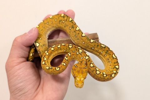 PXL_20251113_100134407~2