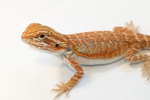 PXL_20260128_084544387~2