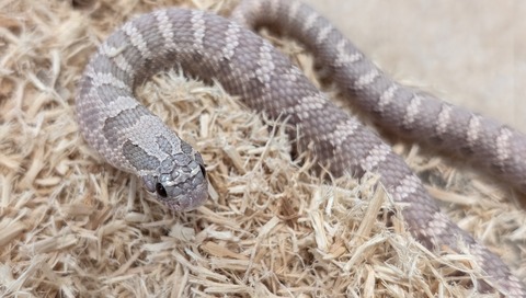 PXL_20251122_061536360~2