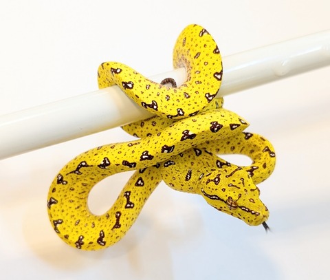 PXL_20250424_093342935~2