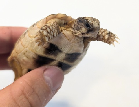 PXL_20251105_062133823~2