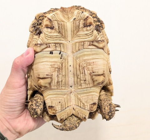 PXL_20250903_115227945~2