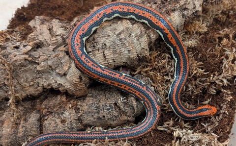 PXL_20251124_084559699~2