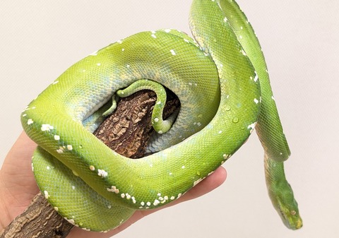 PXL_20250920_111315098~2