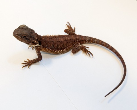 PXL_20250401_093001291~2