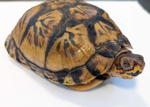 PXL_20250622_115645382~2