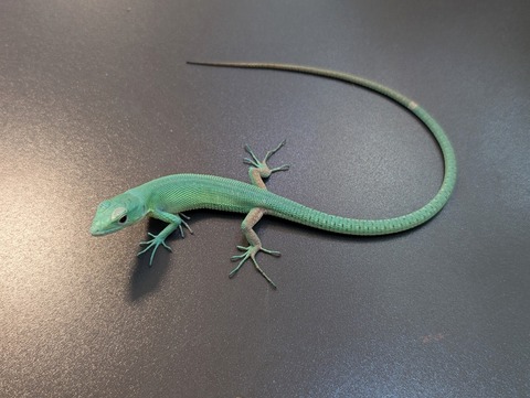 PXL_20250130_090328242~2