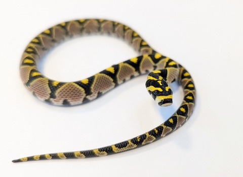 PXL_20250906_103721561~2