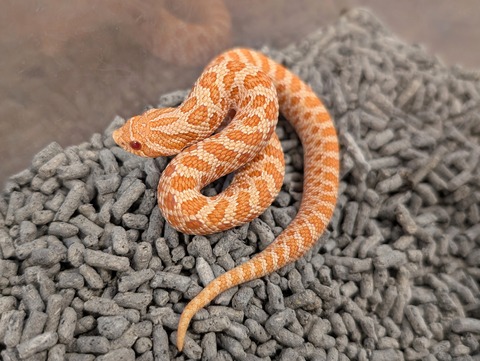 PXL_20250208_073851323~2