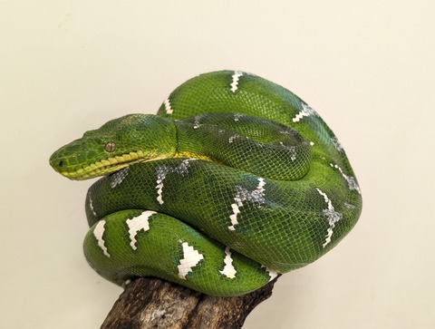 PXL_20260212_083237066~2