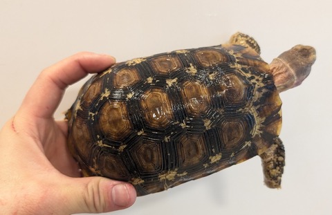 PXL_20260204_080446886~2