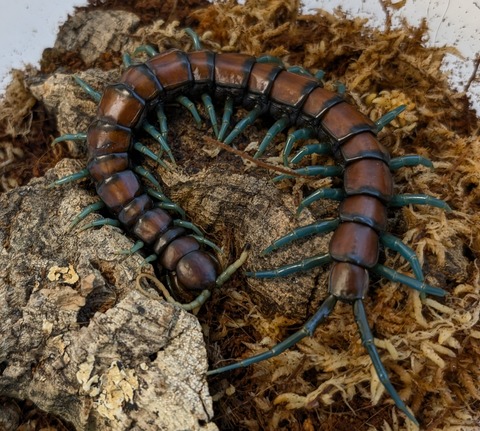 PXL_20250622_111306397~2