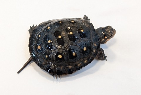 PXL_20251103_102037551~2