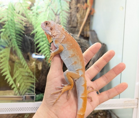 PXL_20250919_070213721~2