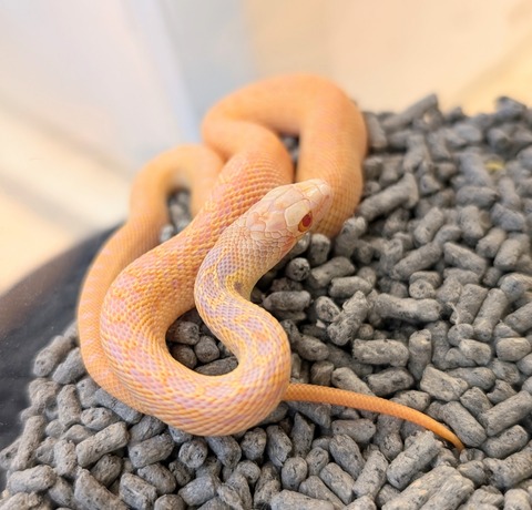 PXL_20241227_123100085~2