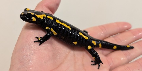 PXL_20251219_042801917