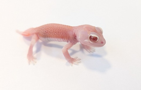 PXL_20251003_093824106~2