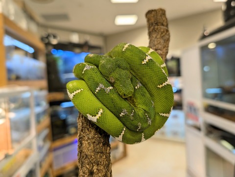 PXL_20241224_110211359~2