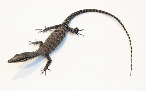 PXL_20260128_081408256~2