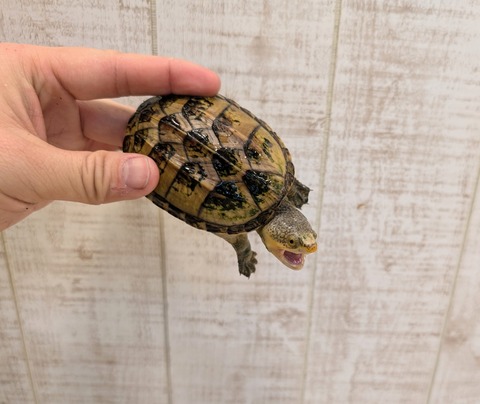 PXL_20241228_120036969~2