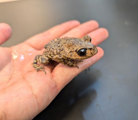 PXL_20250106_103012535~2