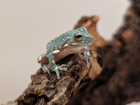 PXL_20250620_132951740~2