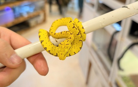 PXL_20241224_111542637~2