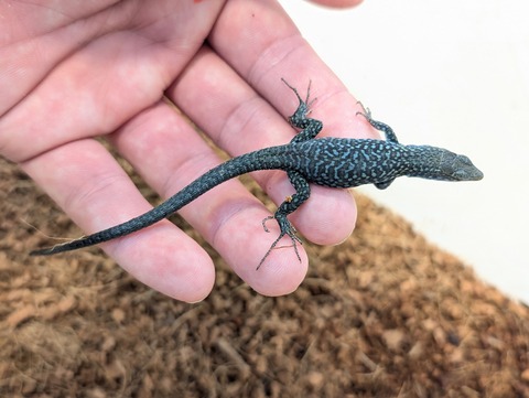 PXL_20250707_051528262~2