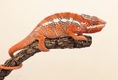 PXL_20251207_095439448~2