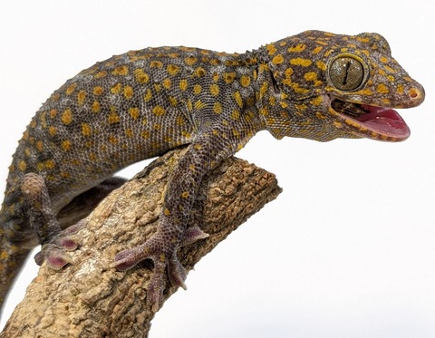 PXL_20251104_110828019~2