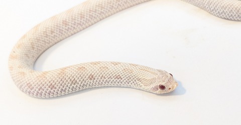 PXL_20251204_082344586