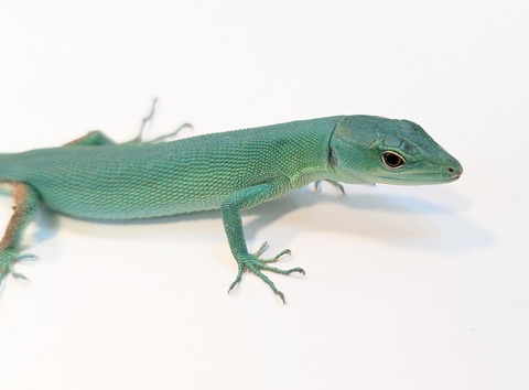 PXL_20250424_085513308~2