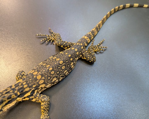 PXL_20250130_085401930~2