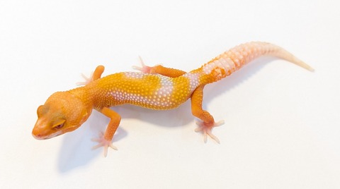 PXL_20250715_100246049~2