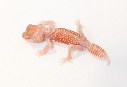 PXL_20251003_094503525~2