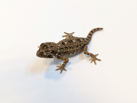 PXL_20250318_085756844~2